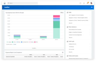 Workday Audit and Internal Controls